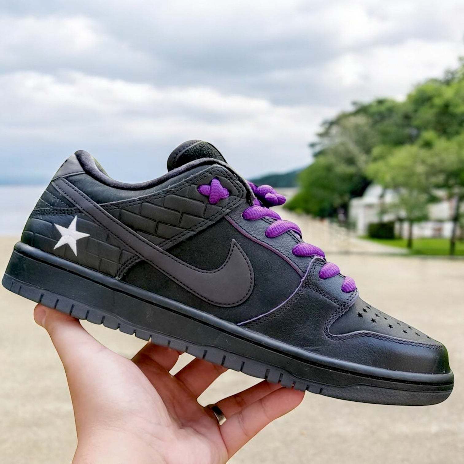 Nike SB dunk low familia first avenue