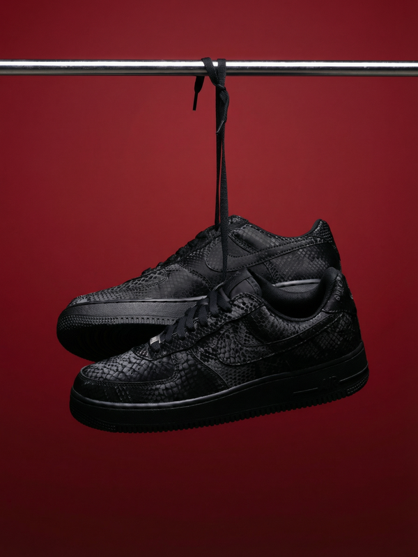 Nouvelles Arrivées !